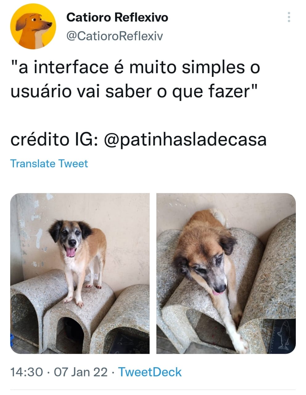 Doguinho